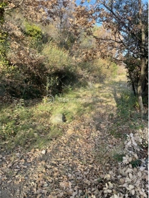 terrain de loisirs à la vente -   66500  CATLLAR, surface 4150 m2 vente terrain de loisirs - UBI457331561